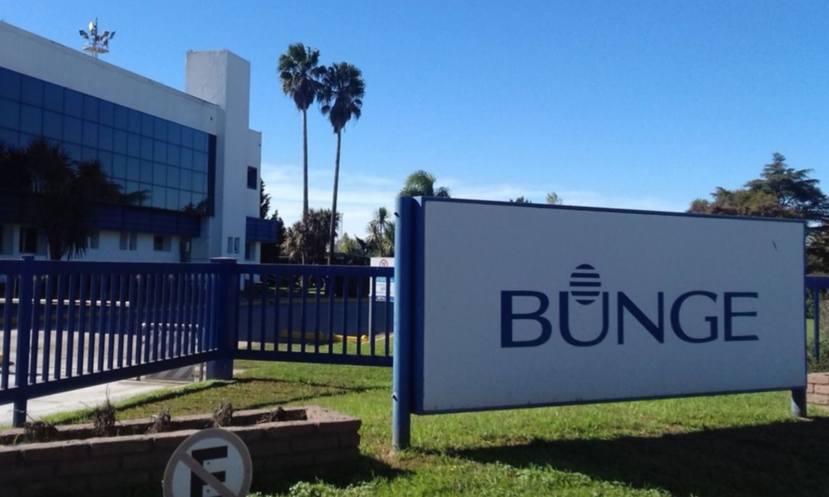 bunge (1)