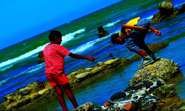 El cine presente en Mar del Plata con invitados, instalaciones y actividades abiertas