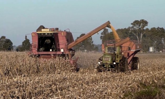 La producción de maquinaria agrícola aumentó 20% en 2021
