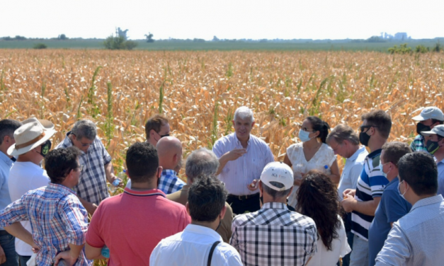 «Estamos trabajando en soluciones concretas» para los productores afectados por la sequía