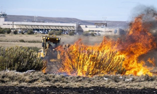Argentina. Incendios forestales en once provincias: un país en llamas.