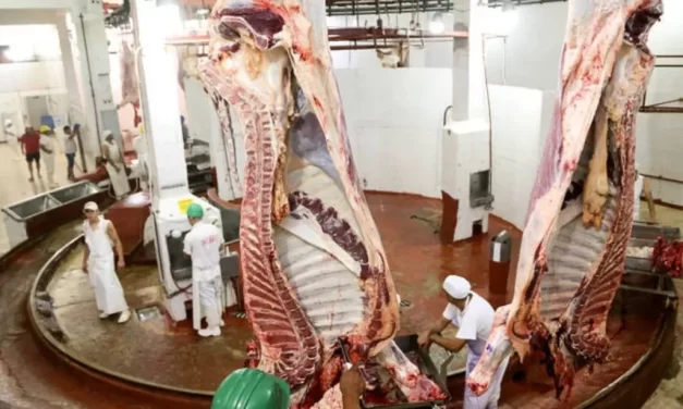 Carne: cooperativas del sector alertan que el precio podría aumentar un 60% en el primer trimestre
