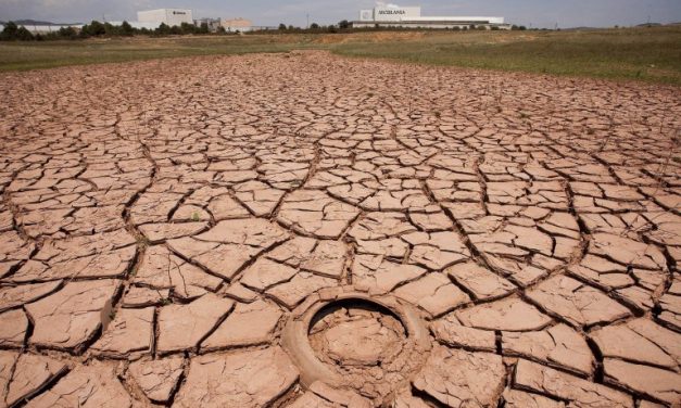 Por la sequía, declaran el estado de emergencia agropecuaria en la provincia de Buenos Aires