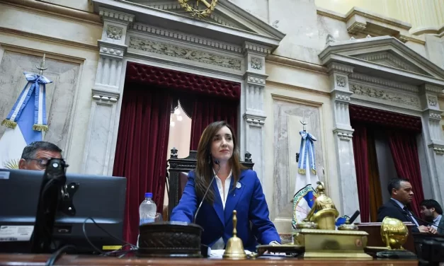 Sesión caliente en el Senado: oposición va por el Garrahan, universidades y contra los DNUs del Ejecutivo