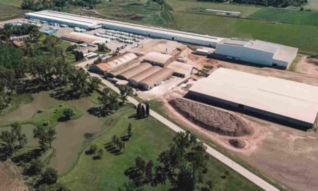 Cerámica Cortines despide a otros 65 empleados y ya suma 130 cesantías en tres meses