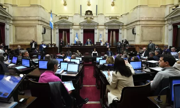 El Senado dio media sanción a un proyecto para ponerle límites a los decretos