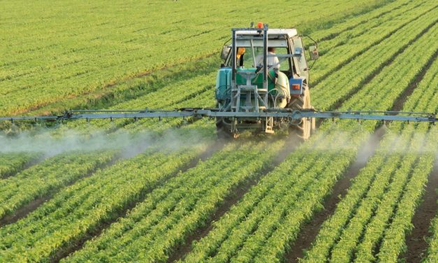 “Productores contra las cuerdas: la otra cara de la crisis”