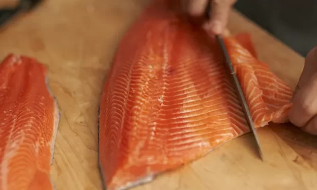 Acuicultura en crecimiento: INIDEP recorrió la planta de trucha arcoíris líder en Argentina