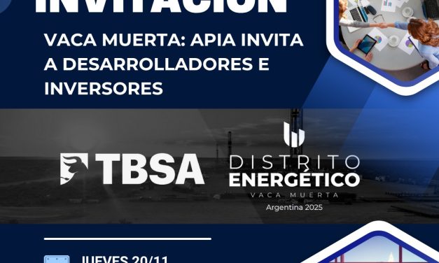 APIA y TBSA presentan oportunidades de inversión en el Distrito Energético Vaca Muerta