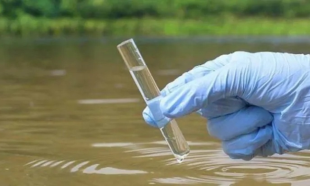 Arsénico en Argentina: el enemigo invisible que amenaza a millones y exige políticas urgentes