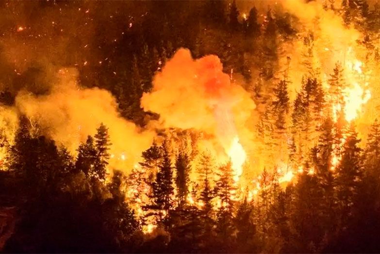 Incendio-Parque-Nacional-los-Alerces_chubut