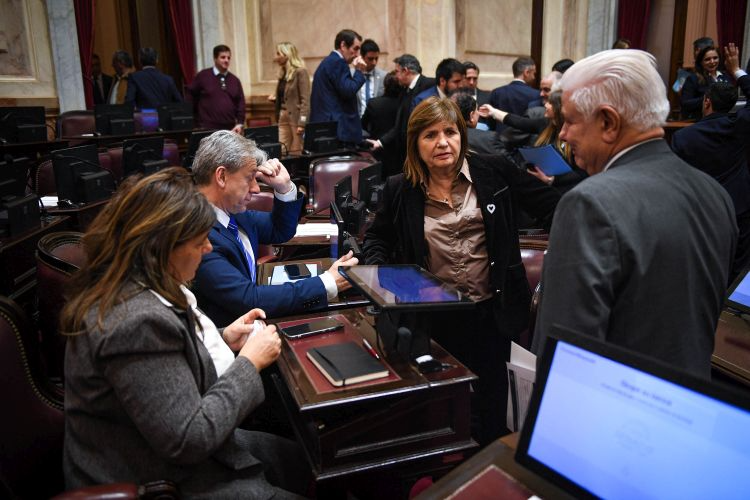 SENADO BULRICH