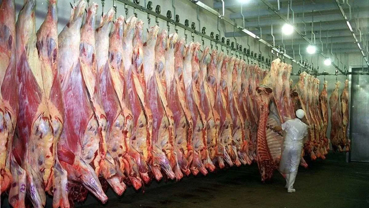 frigorifico-1jpg